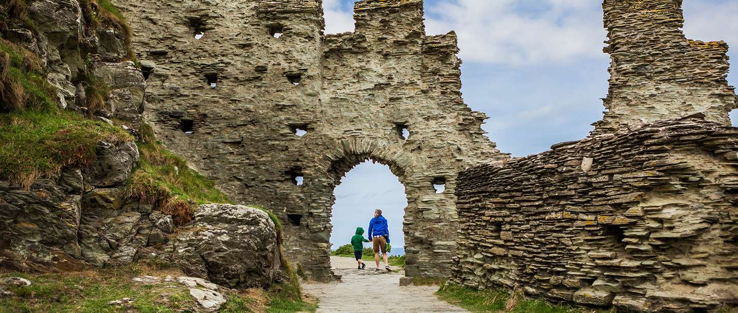 Tintagel kennels outlet